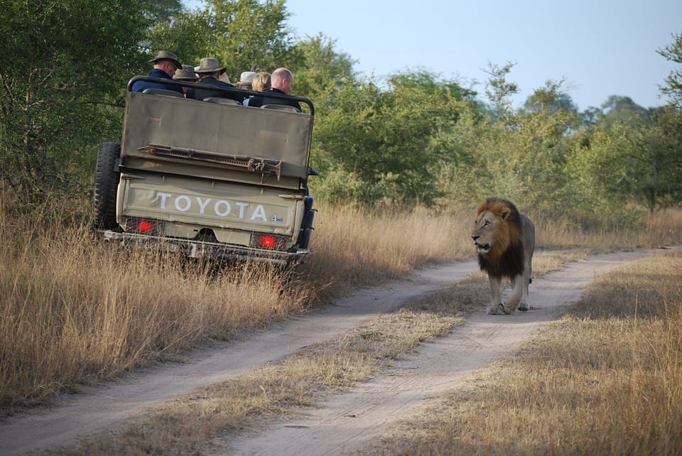 Senior citizens on safari in Africa