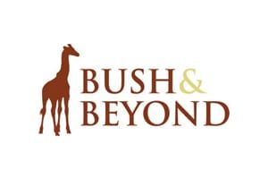 Bush And Beyond Logo