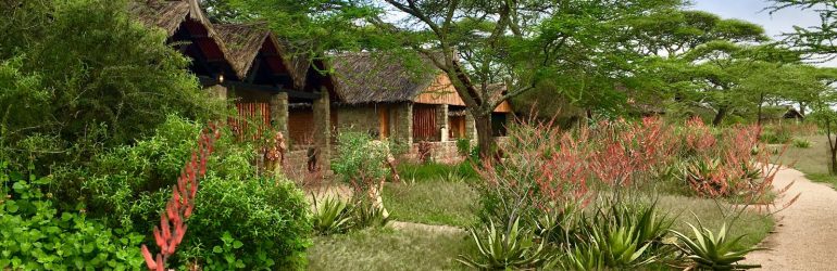 Ndutu Safari Lodge View