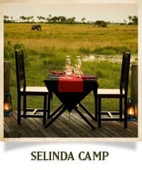selinda-camp