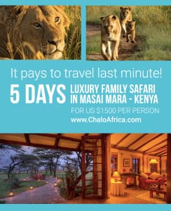 Masai Mara Special 2015