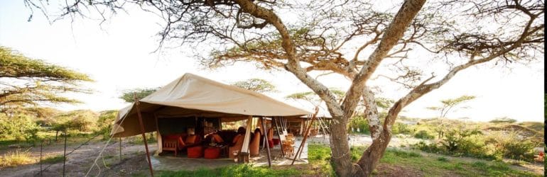 Ubuntu Camp, Serengeti