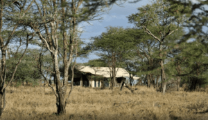 Lemala Ewanjan Camp, Serengeti.