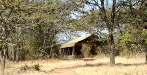 Porini Bush Camp, Masai Mara.