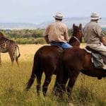 Laikipia horse riding safaris
