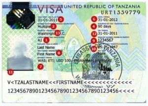 tanzania visa india