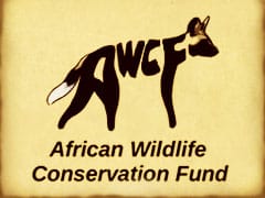 African wildlife conservation fund