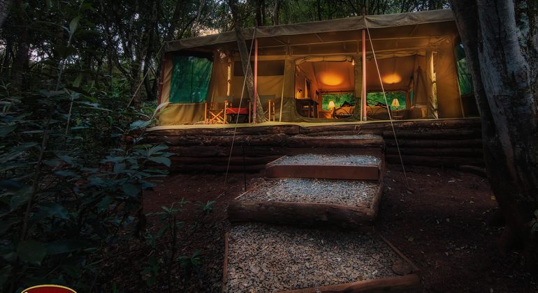Nairobi Tented Camp Tent View