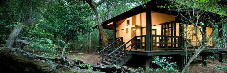 Phinda Forest Lodge Room