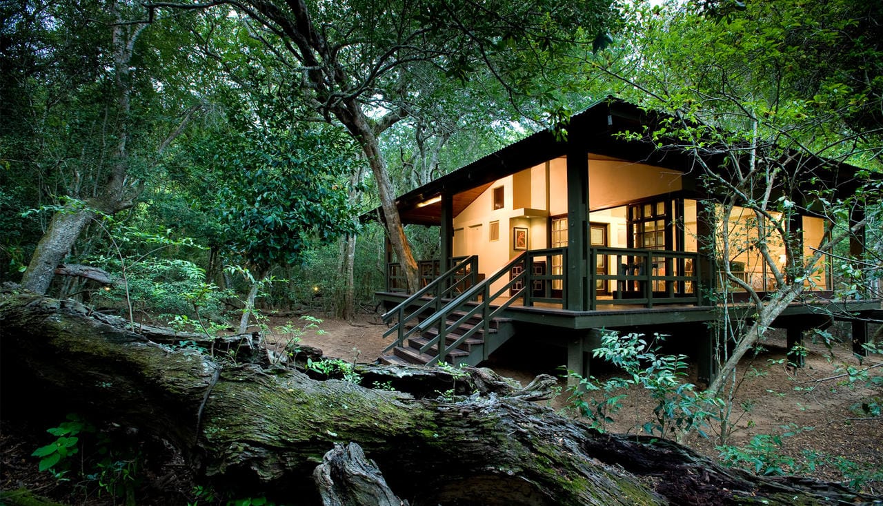 Phinda Forest Lodge Room