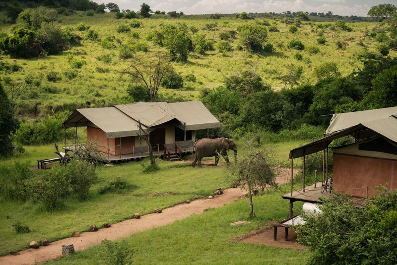 Serengeti Migration Camp View
