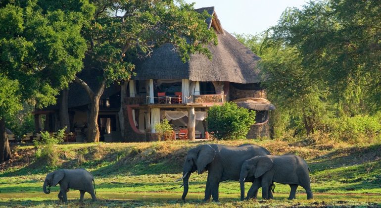 Luangwa Safari House Elephants By The Camp