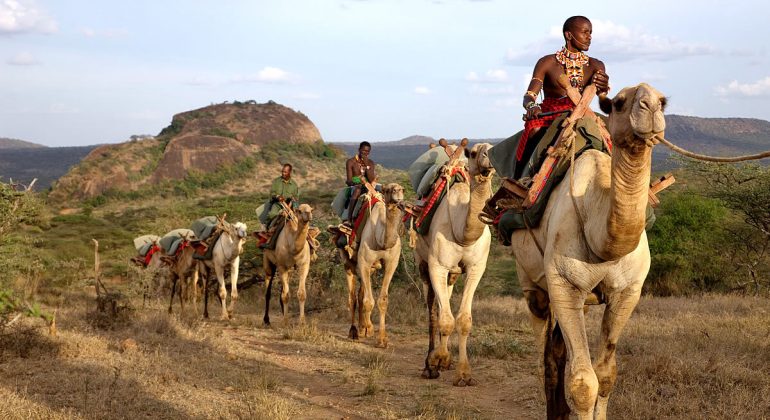 Ol Malo Nomad Camel Ride