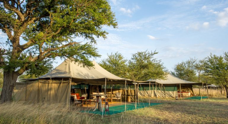 Serengeti Wilderness Camp Tents