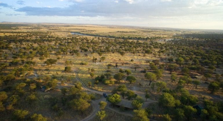 Serengeti Mobile Lamai Aerial View