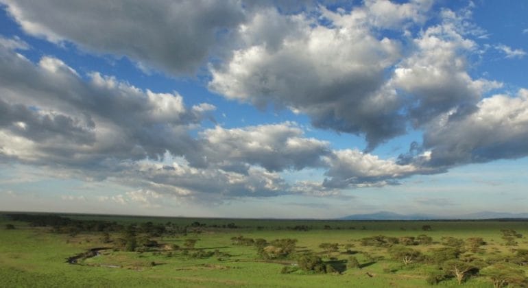 Serengeti South Aerial View