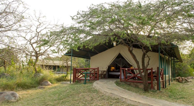 Mbuzi Mawe Serena Camp Tent View