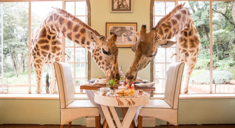 Giraffe Manor Breakfast