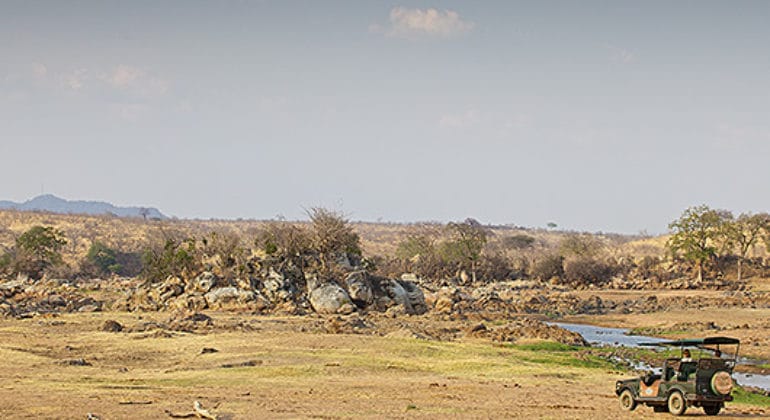 Katavi Wildlife Camp View