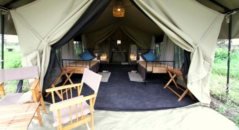 Camp Zebra Tent Exterior