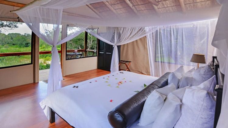 Chisomo Safari Lodge Rooms