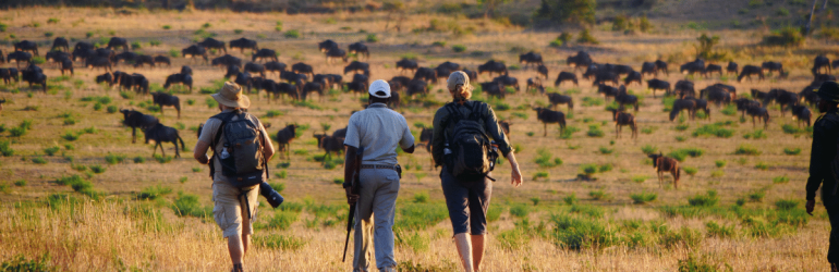 Wayo Serengeti Walking Camp Activities