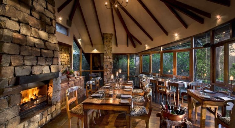Tsala Treetop Lodge Dining