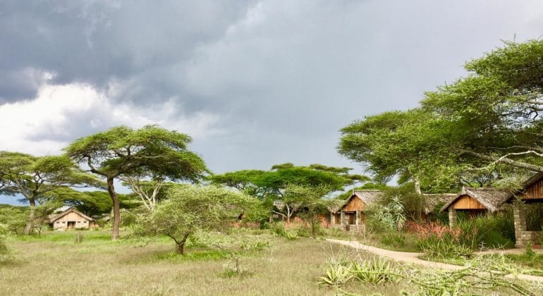 Ndutu Safari Lodge Cottages