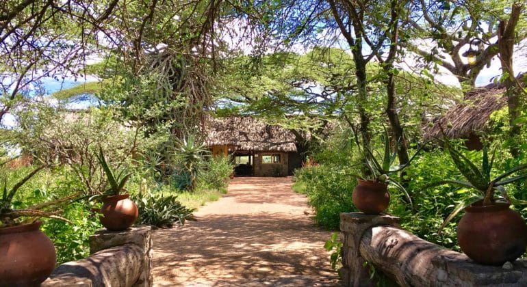 Ndutu Safari Lodge Reception