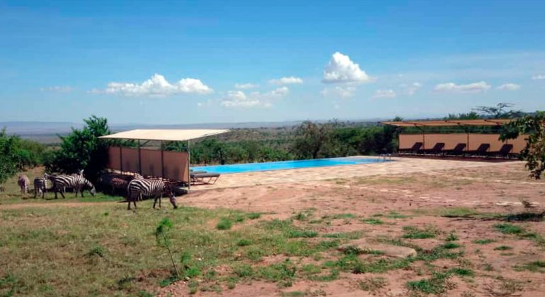 Mara Mara Tented Lodge Pool