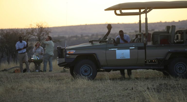 Game Drives Serengeti
